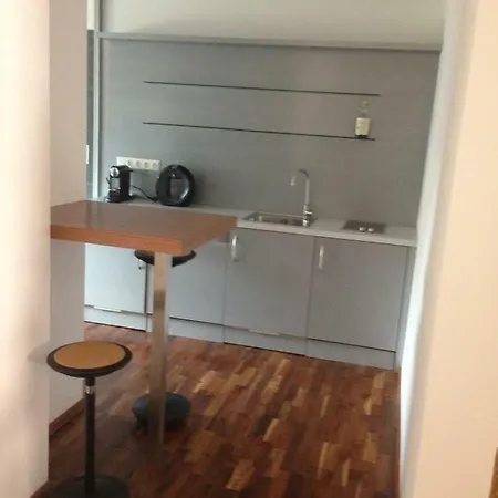 Apartment Stilvolle Im Herzen Salzburgs *